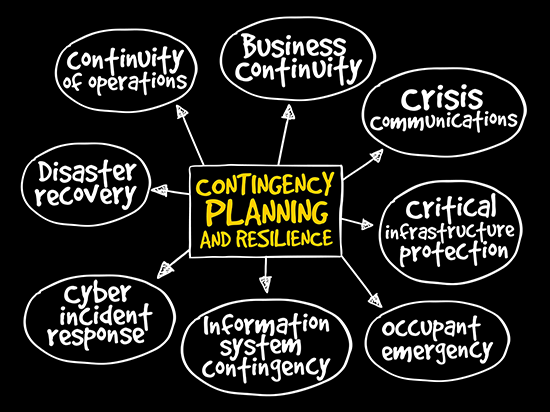 Diagram showing ‘Contingency Planning and Resilience’ at the center, with connected components including Business Continuity, Disaster Recovery, Crisis Communications, Continuity of Operations, Cyber Incident Response, Information System Contingency, Critical Infrastructure Protection, and Occupant Emergency.